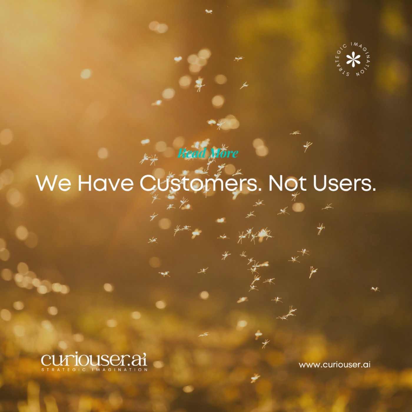 We Have Customers. Not Users.